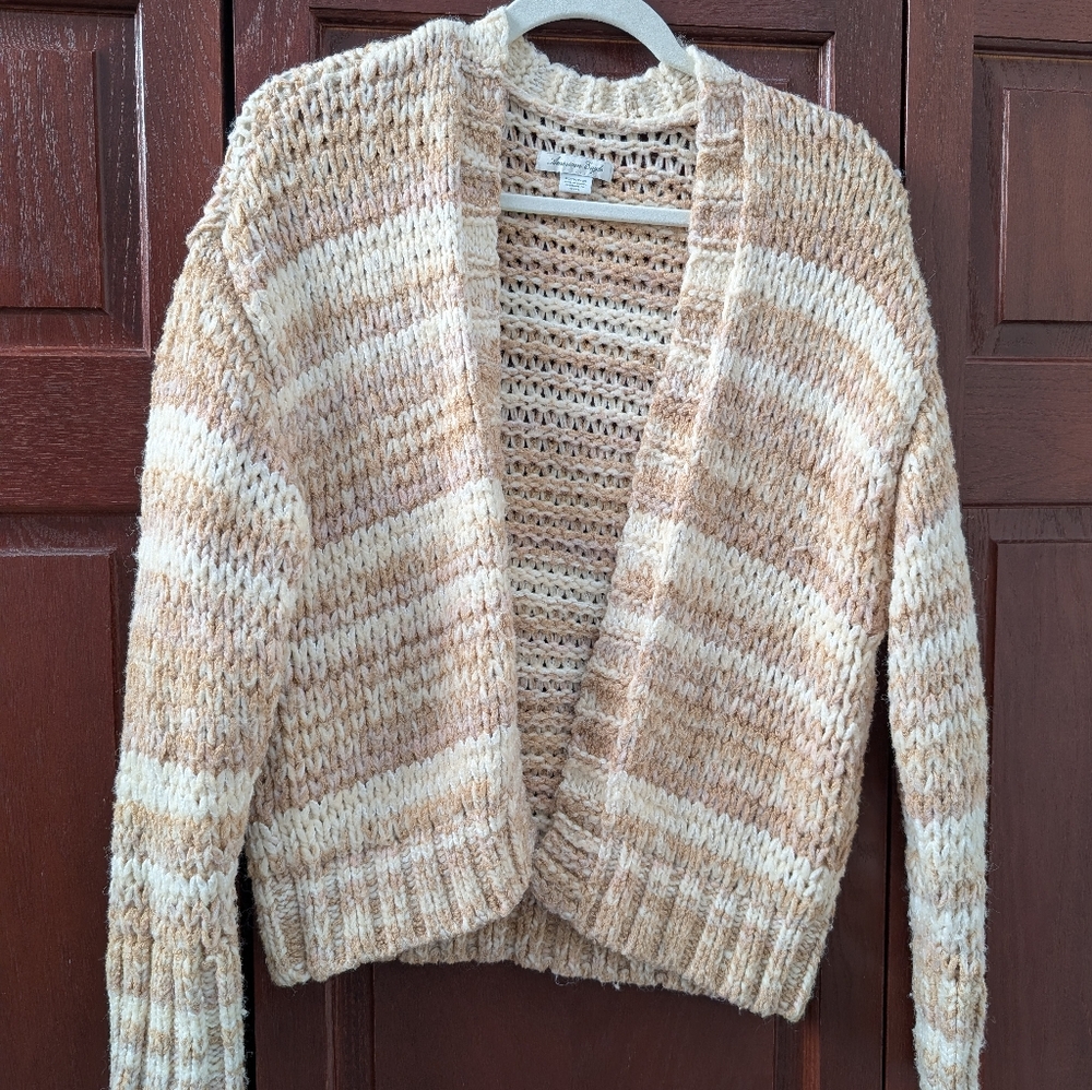 American Eagle Chunky Cardigan Sweater